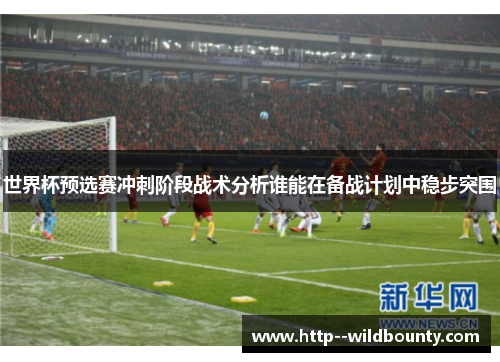 世界杯预选赛冲刺阶段战术分析谁能在备战计划中稳步突围