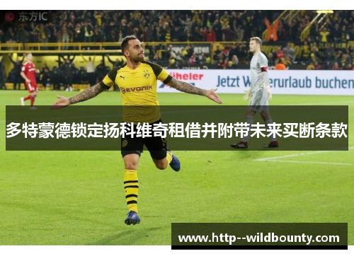 多特蒙德锁定扬科维奇租借并附带未来买断条款
